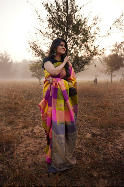 Palam Silks | Multicoloured Kanchipuram Silk Saree