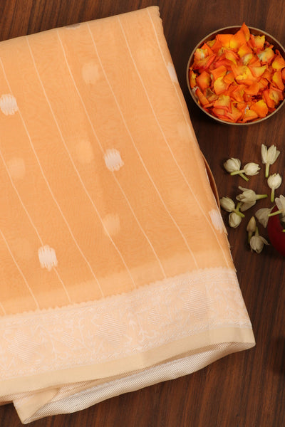 Muskmelon Orange Semi Organza Saree