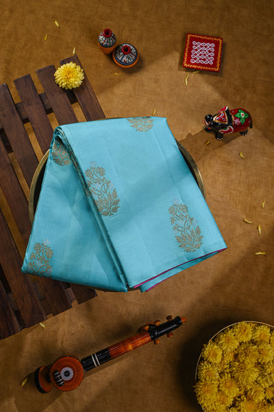 Sky blue borderless kanchipuram silk saree