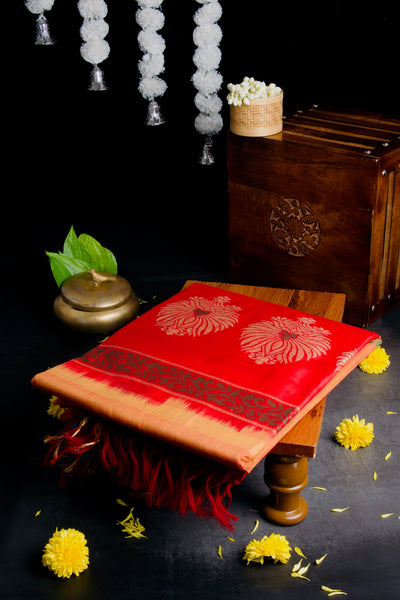 Melon Orange Cotton Saree