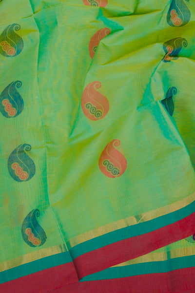 Spring Green Cotton Saree